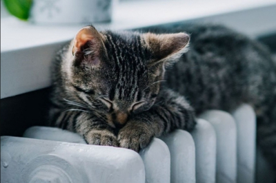 Отопление включили в более 30% жилых домов Москвы и почти половине соцобъектов