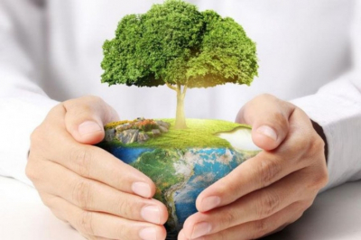 Равнение на Сахалин: что скрывается за этим лозунгом